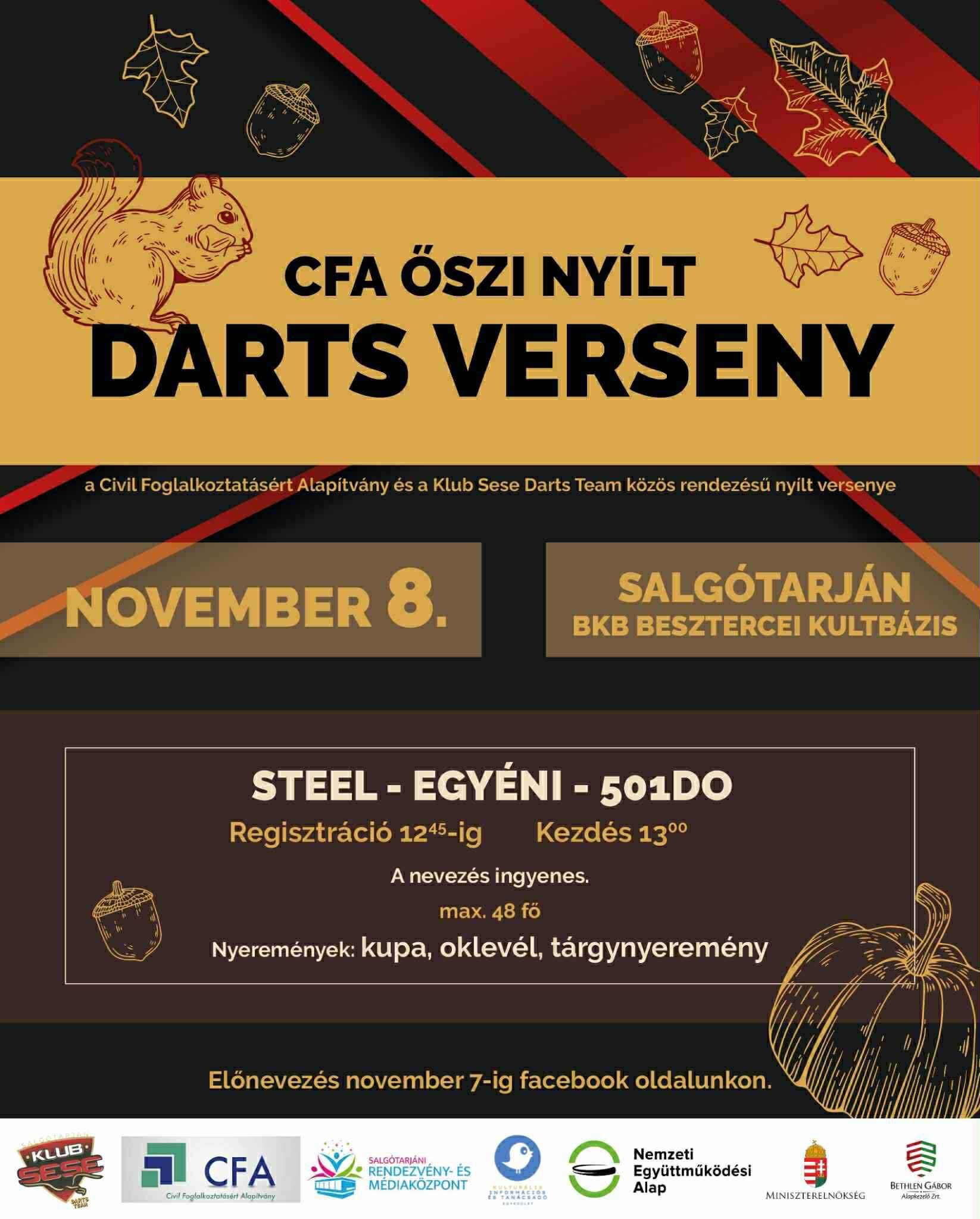 Darts Verseny